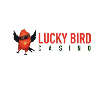 LuckyBird Casino - co warto wiedzieć?