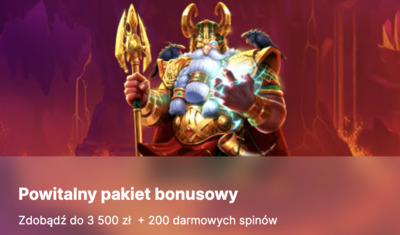 Oferta bonusowa dla nowych klientów w kasynie Hit'n'Spin